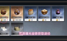 荒原曙光游戏金镑四种获取方式